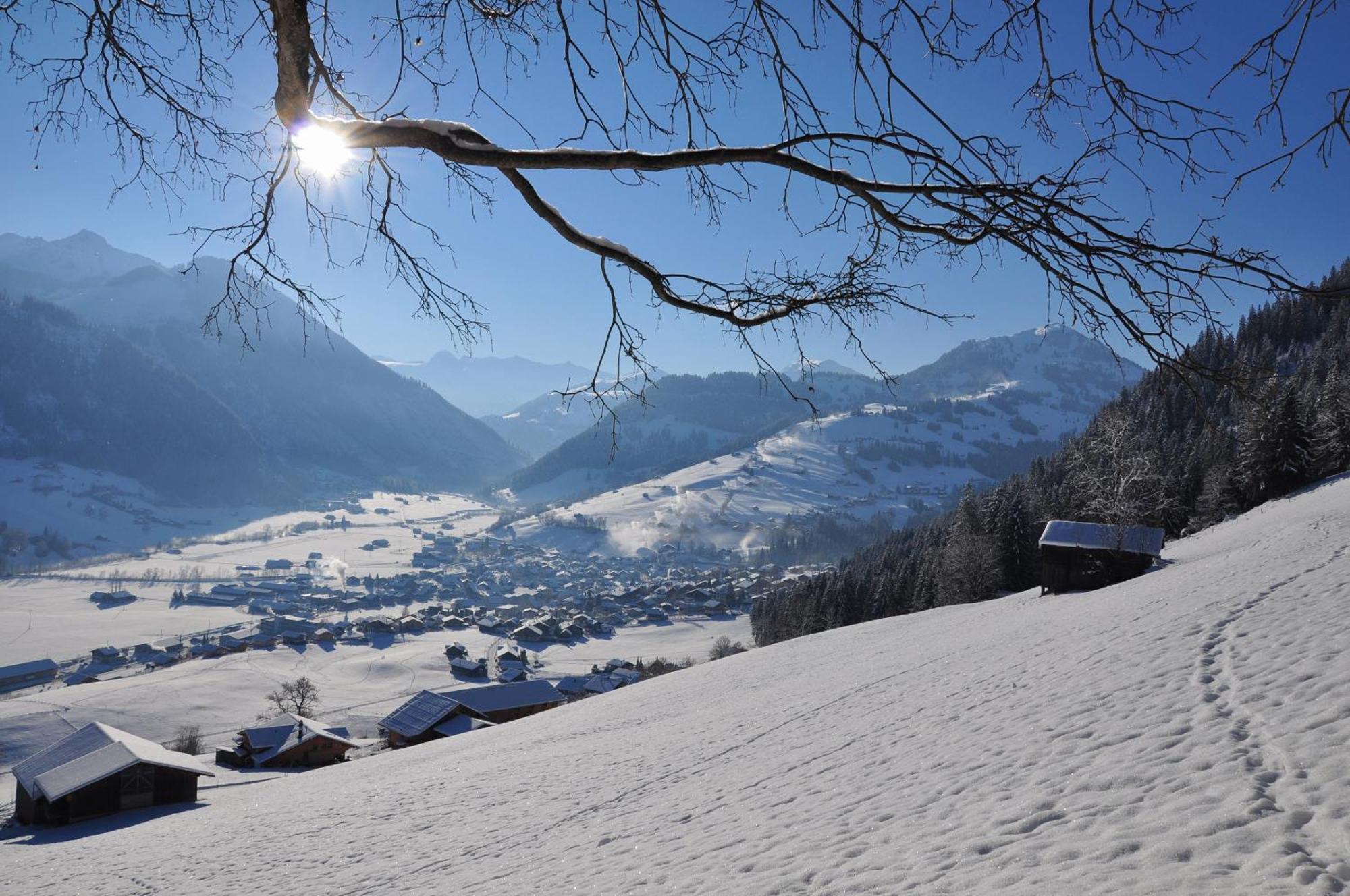 Sonnegg Hotel Zweisimmen Zewnętrze zdjęcie